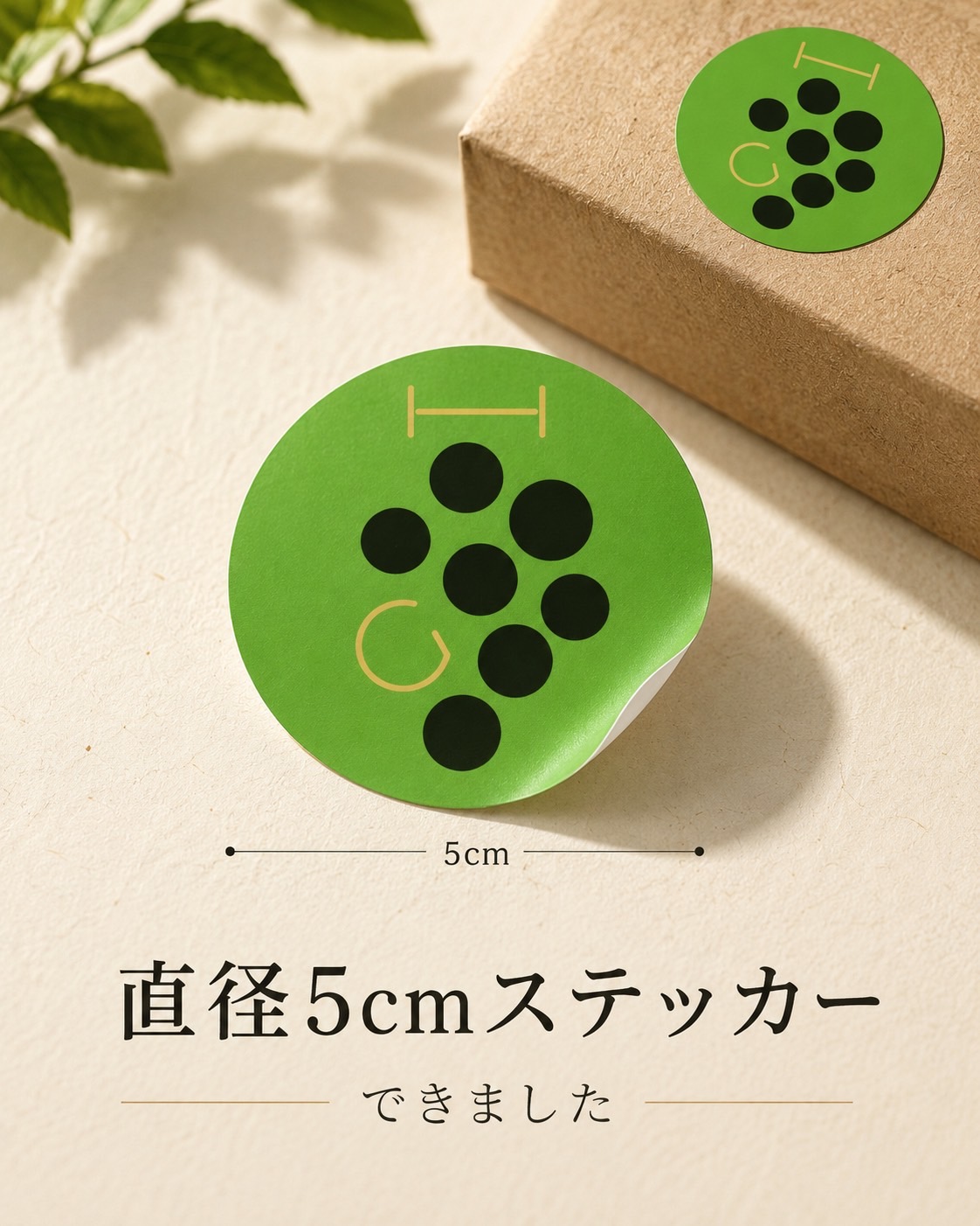 ST-001